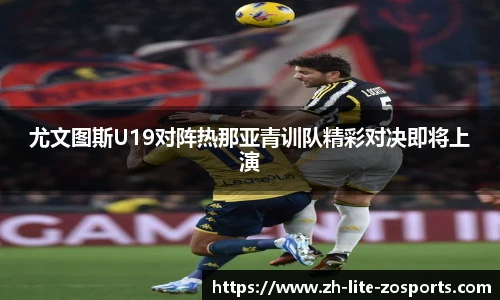 中欧体育