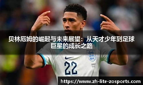中欧体育官网