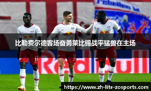 中欧体育